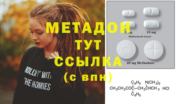 прущие грибы Каменка