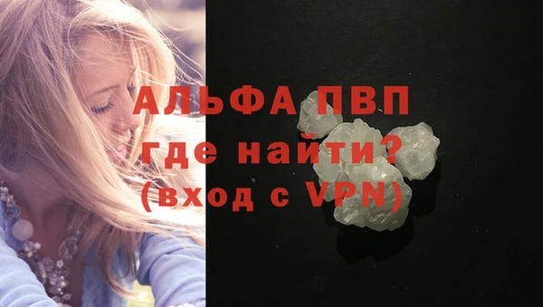 прущие грибы Каменка