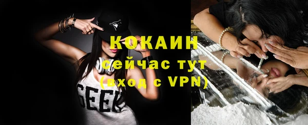 прущие грибы Каменка
