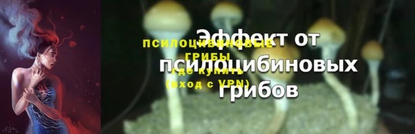 прущие грибы Каменка