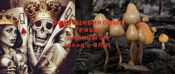 прущие грибы Каменка