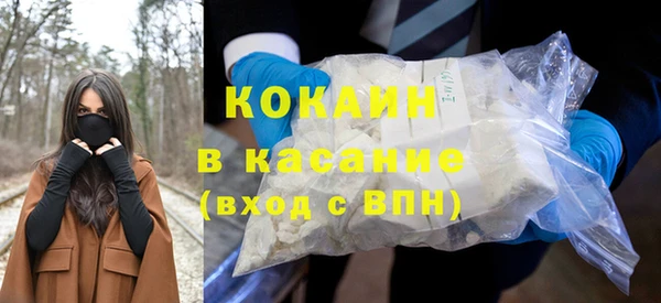 прущие грибы Каменка