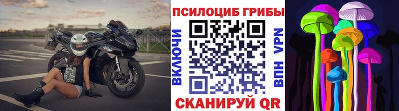 Купить  Камызяк  Галлюциногенные грибы ЛСД 